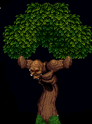 Tree Man